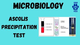 Ascolis Precipitation Test [upl. by Atoiganap]