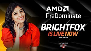 AMD PreDominate  BRIGHT FOX  BGMIFall Guys and Scribble [upl. by Hametaf]