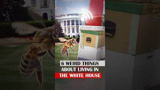 6 Weird Things About Living in the White House [upl. by Nady]