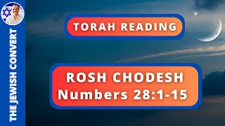 ROSH CHODESH TORAH READING in Hebrew with English Translation  TORAH STUDY [upl. by Waly]