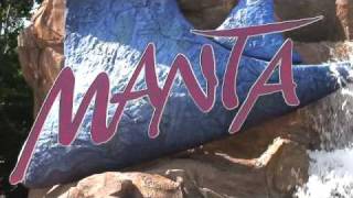 Manta Opening SeaWorld Orlando  Views Interviews amp Queue [upl. by Birecree141]