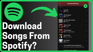 How To Download Songs From Spotify  Full Guide [upl. by Ahsen]