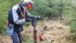 Husqvarna  Brushcutter Saw Blade Sharpening in the Forest [upl. by Eirotal9]