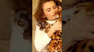 Ragamuffin cat 😸 vs Bengal cat 😸cat animal shorts viralvideo fypシ゚viral [upl. by Zerla]