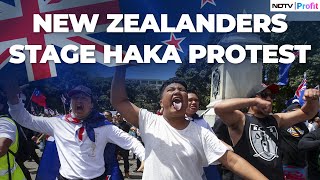 New Zealanders Stage Haka Protest Thousands March Towards Wellington Against Indigenous Treaty Bill [upl. by Resarf]