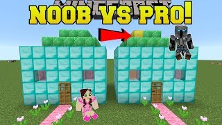 Minecraft NOOB VS PRO  SPOT THE DIFFERENCE  MiniGame [upl. by Adiell]