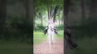 fw Pony dressage edit 💫 vid creds sannewiering [upl. by Annehsat]