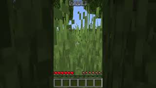 Best Minecraft grylls 1 minecraft fantasticgamergryllsgaming minecraftpe gamerfleet shorts [upl. by Nosliw]