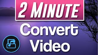 How to use Movavi Video Converter Premium [upl. by Aidnyc]