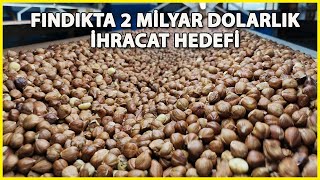 Fındıkta 2 Milyar Dolarlık İhracat Hedefi [upl. by Nathanial]