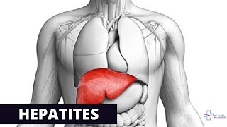 LES DIFFERENTES TYPES D´HEPATITE [upl. by Lerrud]