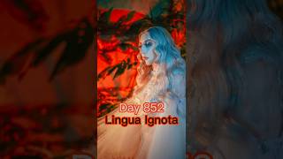 Where do you start with Lingua Ignota [upl. by Ailadi8]