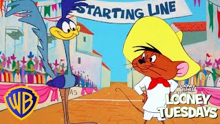 Looney Tuesdays  ​Road Runner Vs Speedy Gonzales  wbkids​ [upl. by Ariamat968]