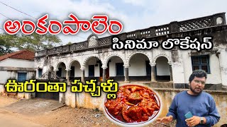 అంకంపాలెం పచ్చళ్లు కు ప్రసిద్ధి చెందిన గ్రామం  Ankampalem Village picklesmovie location [upl. by Anthony607]