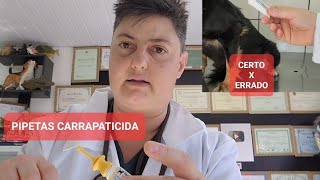 O QUE AS PESSOAS QUEREM SABER SOBRE PIPETAS CARRAPATICIDAS [upl. by Cleopatre]