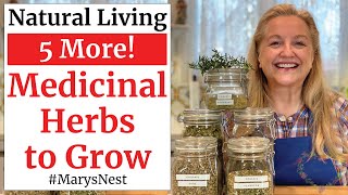 5 More Essential Medicinal Herbs to Grow for Making Home Remedies [upl. by Compte]