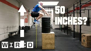 Why Its Almost Impossible to Jump Higher Than 50 Inches  WIRED [upl. by Enelam]