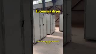 Eucommia dryer [upl. by Erreip]