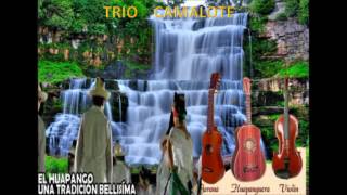 TRIO CAMALOTE DE PANUCO VERACRUZ [upl. by Rufe]