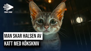 MAN SKAR HALSEN AV KATT MED KÖKSKNIV  HELA RÄTTEGÅNGEN [upl. by Victoria98]