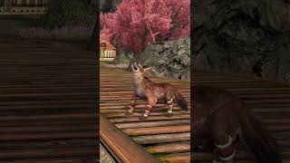 LOTRO Treasured Jackal Pet shorts [upl. by Ecad]