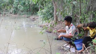 Fishing for climbing perch fish by hook [upl. by Zetroc509]