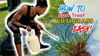 How to Spot Treat Crabgrass EASY [upl. by Bertila]