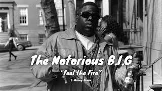 The Notorious BIG Feel the Fire EMoney Remix [upl. by Marillin]