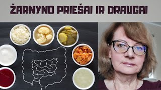 Žarnyno priešai ir draugai [upl. by Nilyaj]