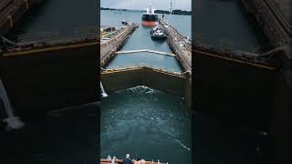 How Panama Canal Works In Timelapse [upl. by Einahpts318]