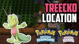 How to Catch Treecko  Pokémon Brilliant Diamond amp Shining Pearl [upl. by Aicatsan]