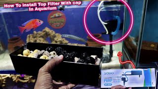 How to Add Top Filter with cap in Aquarium  Aquarium Top Filter  3 feet tank filtration system [upl. by Napier741]