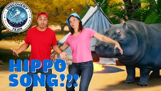 🎵 quotHippo Songquot 🦛  The Discovery Team  Fun for kids 🎶 [upl. by Tollmann]