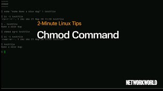 How to use the chmod command [upl. by Adnhoj886]