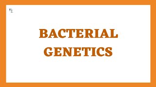 Bacterial Genetics  Conjugation Transformation Transduction amp Transposition [upl. by Akeem840]