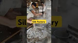 Silk Factory silkfactory bollywood love hindisong music vlog follower musicgenre highlight [upl. by Gerrie636]