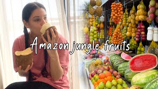 Trying Amazon Rainforest fruits in Manaus Brazil [upl. by Aynos]