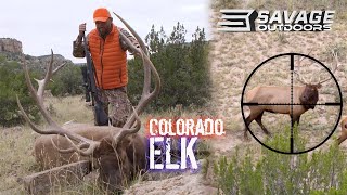 ELK Hunting COLORADO [upl. by Yedsnil]