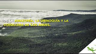 Parque Chiribiquete en Colombia entra a la lista de patrimonio natural y cultural de la humanidad [upl. by Guria422]