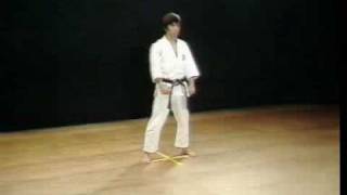 Shotokan Kata Gankaku  Kanazawa Hirokazu [upl. by Nalhsa]