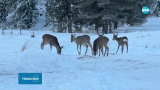 Темата на NOVA „Време за туризъм” 23112024 [upl. by Eriha881]