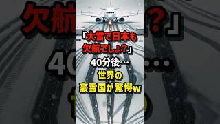 「大雪で日本も欠航でしょ？」40分後…世界の豪雪国が驚愕！ 海外の反応 [upl. by Olwen822]