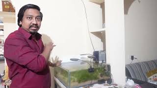 Non CO2 Planted tank Shallow fish tank Video  8 [upl. by Ermey]