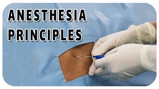 Anesthesia Principles [upl. by Latimore]