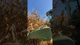 Trabajo del Cabezal Maizero 🌽🦌 agriculture agro johndeere maiz rancho [upl. by Bena]