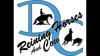 DC REINING HORSES CLASSIC 2024 [upl. by Evangelist731]