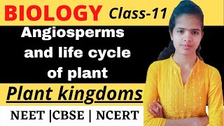 Angiosperm and life cycle of plant Plant kingdom  Class 11 CBSE  NCERT  NEET  Part6 [upl. by Ailhad]