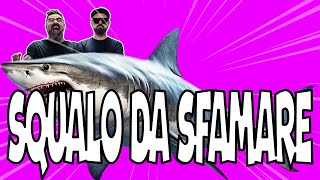 SQUALO DA SFAMARE [upl. by Bolitho29]