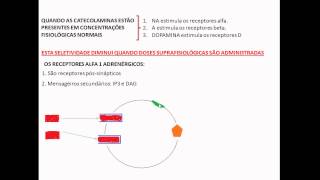 FARMACOLOGIA DO SNA  FUNÇÕES DOS RECEPTORESAULA 3 [upl. by Enirhtak]