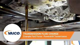 Transmission fluid change on Powershift of a Ford Focus EXPERT KITS V250796 [upl. by Riggall]